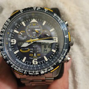 Citizens promaster blue Angel watch